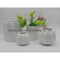 Fashion Design Ceramic Flower Vase Home Decoration